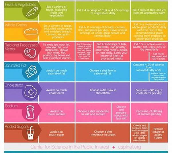 Nutritional Guidelines For Fashion Models