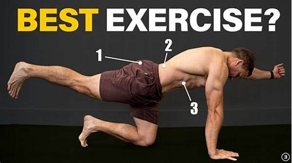 Best Core Stability Exercises