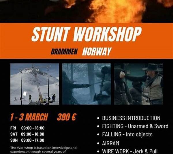 Comprehensive Stunt Training Workshops