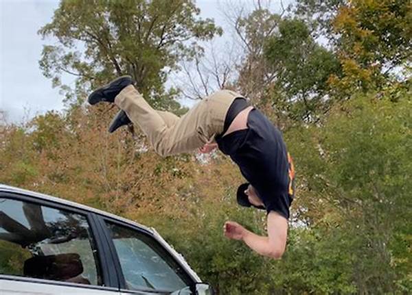 Expert Stunt Performer Training Programs