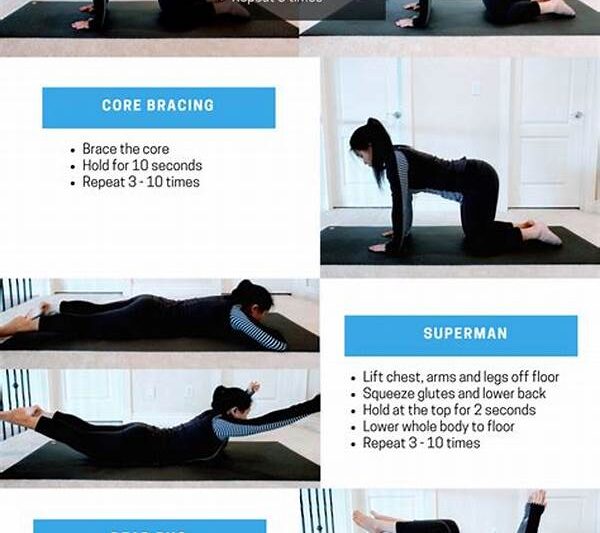 Core Stability Exercises For Posture
