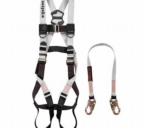 Personal Fit Fall Restraint Harness