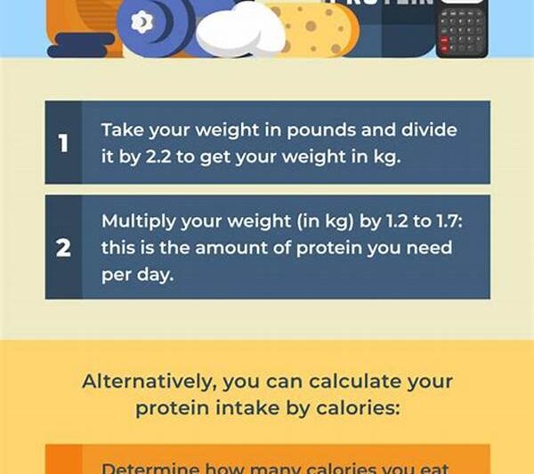 Protein Intake After Exercise