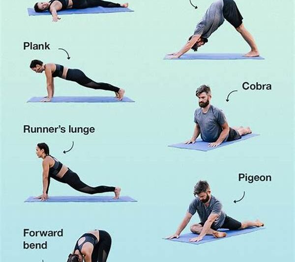 Stretching Workouts For Muscle Flexibility