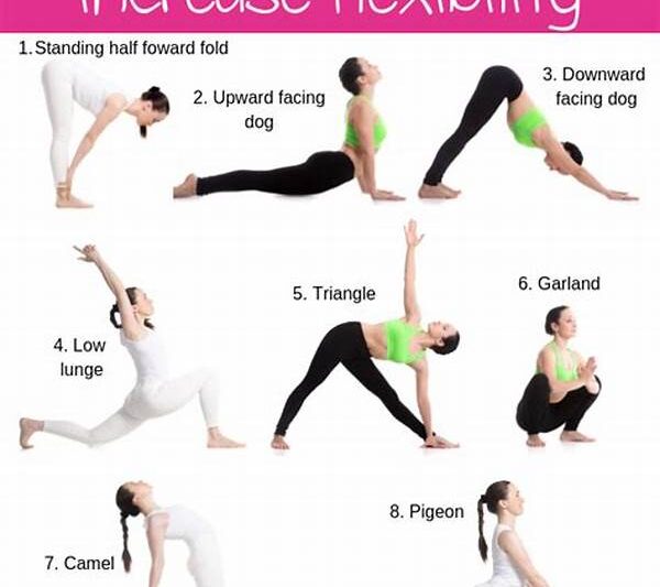 Best Beginner Flexibility Exercises