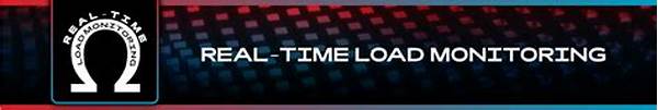 Real-time Load Monitoring Systems