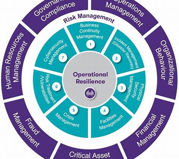 Resilient Enterprise Operation Methodologies