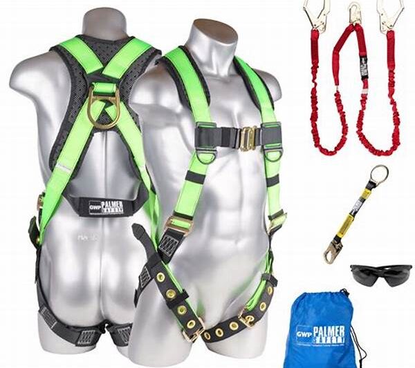 Enhanced Personal Fall Protection Harness