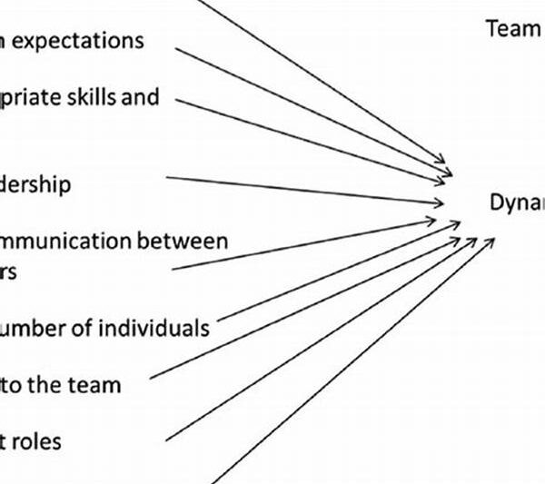 Team Dynamics In Stunt Creation