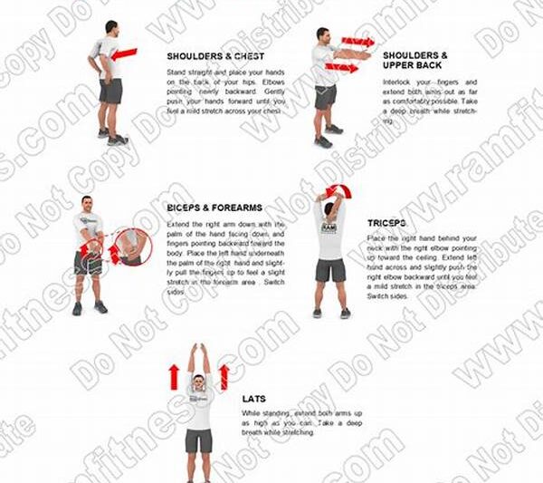 Weight Lifting Stretching Techniques
