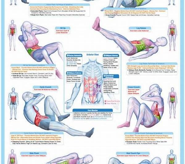 **abdominal Muscle Conditioning Workouts**