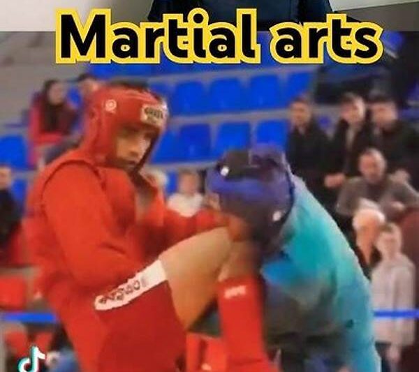 Combat And Martial Arts For Stunts