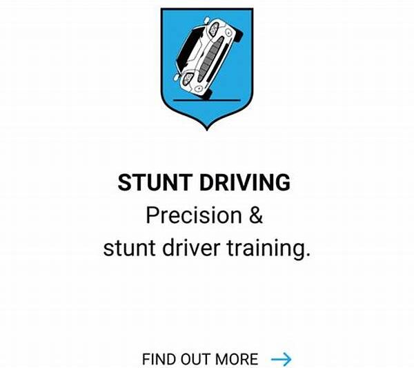 Precision Stunt Training Programs