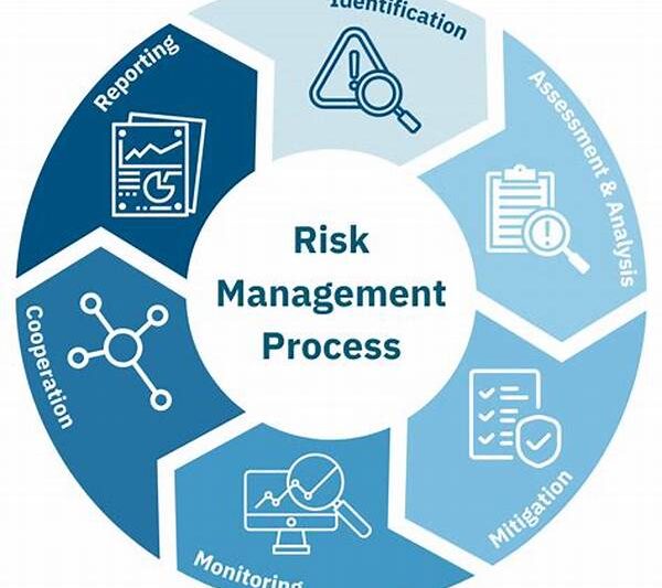 Risk Management For Stunt Professionals