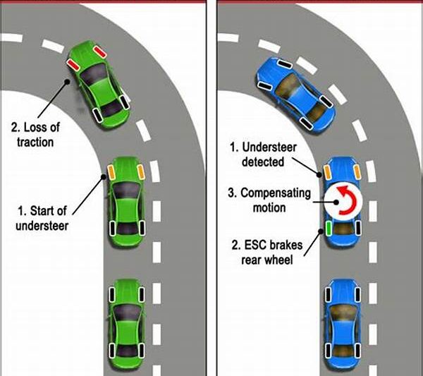 Vehicle Stability Management Systems