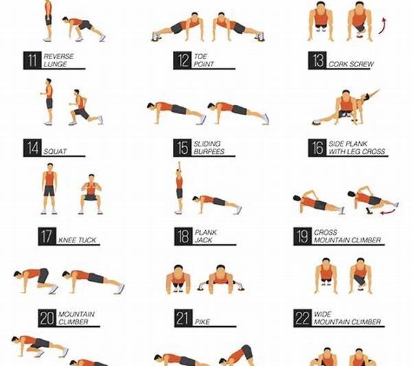 Comprehensive Core Workout Guide