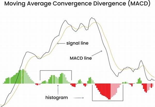 “convergence Strategies In Modern Markets”