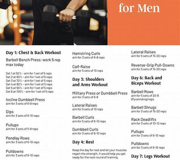 Importance Of Full-body Fitness Routines