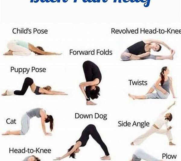 Best Stretches For Muscle Healing