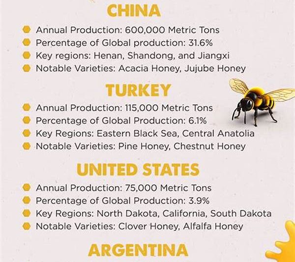 Leading Film Producers Worldwide