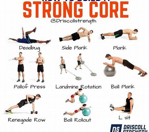 Top-rated Core Exercise Recommendations