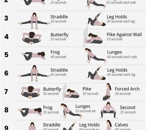 Basic Flexibility Exercises For Novices