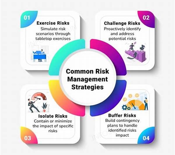 “comprehensive Stunt Safety Management Strategies”