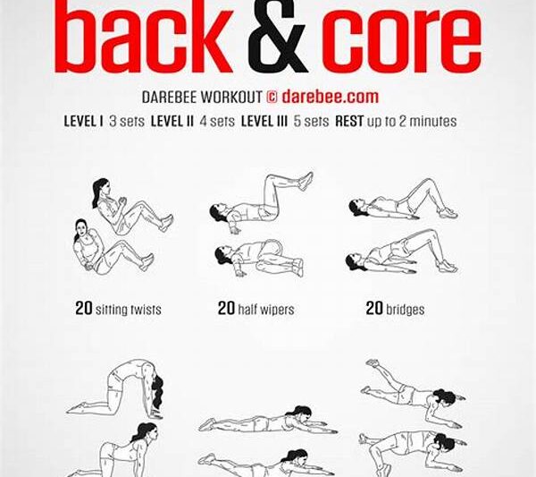 Core Exercises For Lower Back